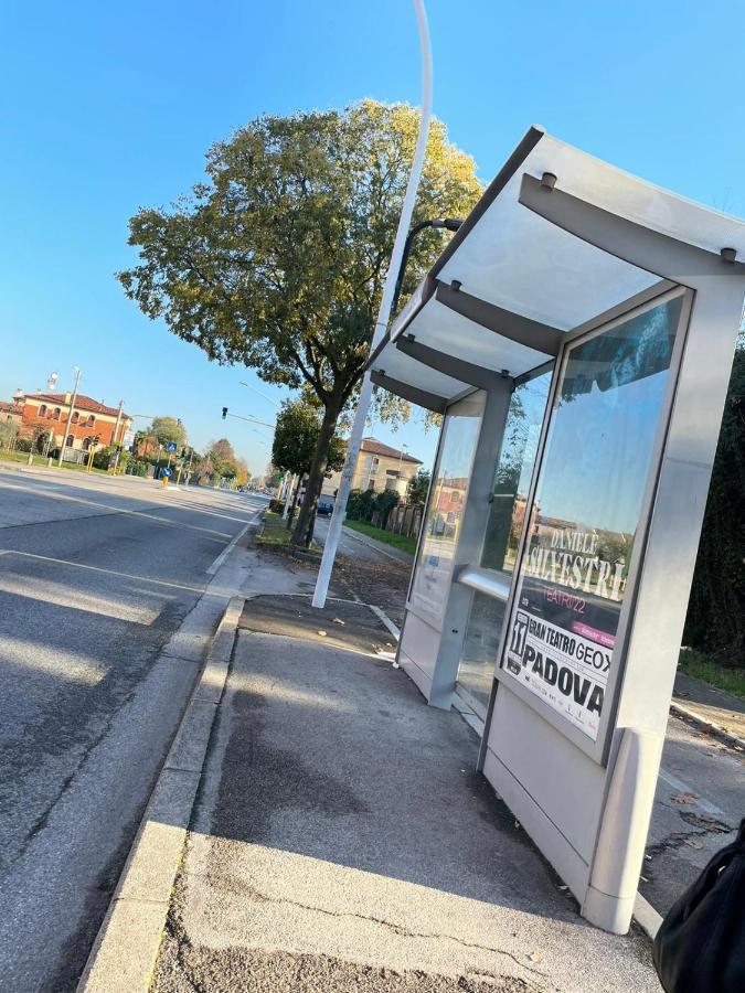 Appartamento Al Parco 帕多瓦 外观 照片